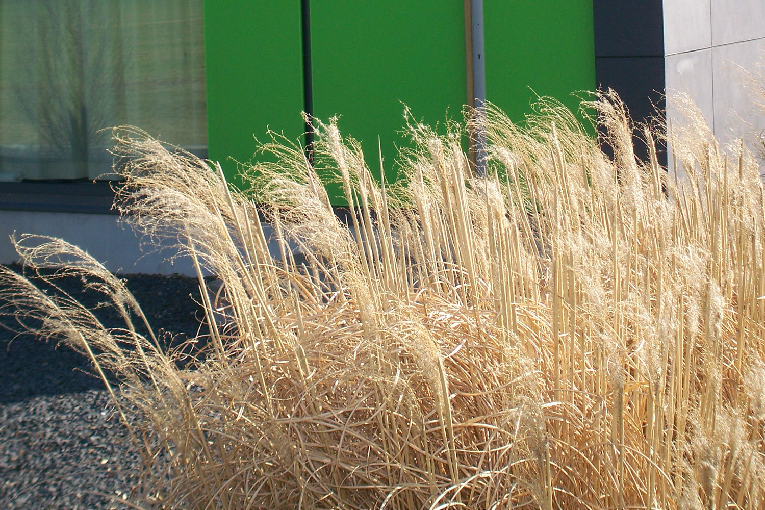 Tagesklinik Schwalmstadt-Treysa